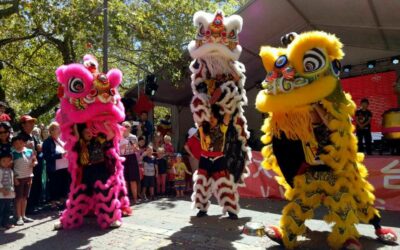 [Canberra Weekly] PMDLD are ready for the 2019 Lunar New Year!