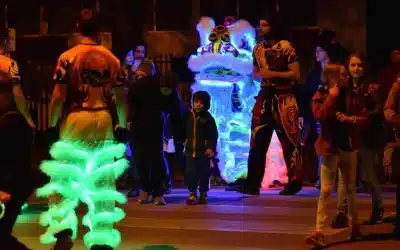 [Lyneham Community Association] PMDLD Brings Light Up Lions to Annual Parade